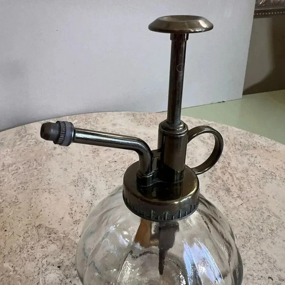 Vintage Perfume Spritzer Succulents Mister Clear Cut Glass Bottle Plunger System - Picture 6 of 10